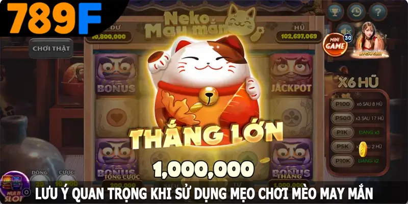 Lưu ý quan trọng khi sử dụng mẹo chơi mèo may mắn từ cao thủ