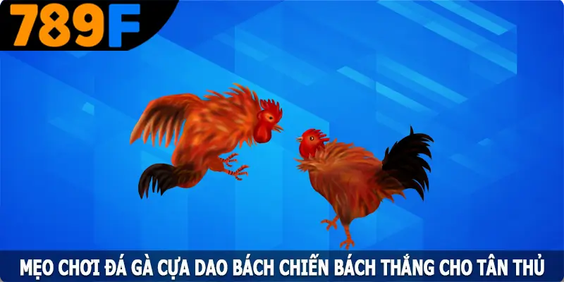 Mẹo Chơi Đá Gà Cựa Dao Bách Chiến Bách Thắng Cho Tân Thủ