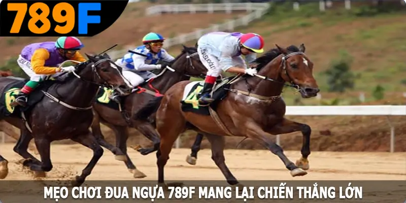 Mẹo chơi đua ngựa 789F mang lại chiến thắng lớn