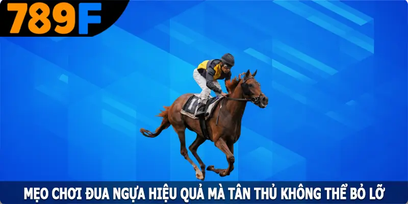Mẹo Chơi Đua Ngựa Hiệu Quả Mà Tân Thủ Không Thể Bỏ Lỡ