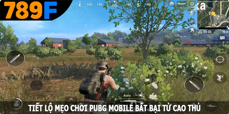 Tiết lộ mẹo chơi PUBG Mobile bất bại từ cao thủ
