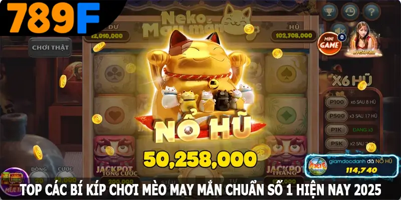 Top các bí kíp chơi mèo may mắn chuẩn số 1 hiện nay 2025